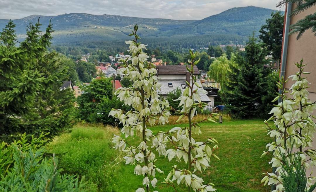 Willa Mona Bed and Breakfast Szklarska Poręba Esterno foto